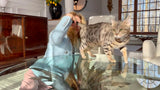 Retired silver bengal cat for sale - Bengal Cats for sale near me - Brown, Silver & Snow Bengal kittens for Sale