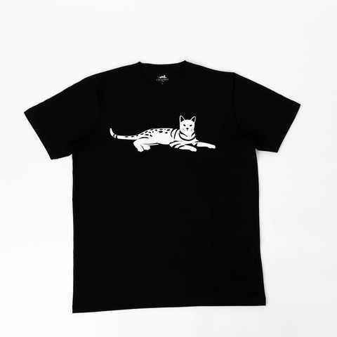 Men's 100% Pima Cotton T-Shirt - Black - Medium - Bengal Cats for sale near me - Brown, Silver & Snow Bengal kittens for Sale